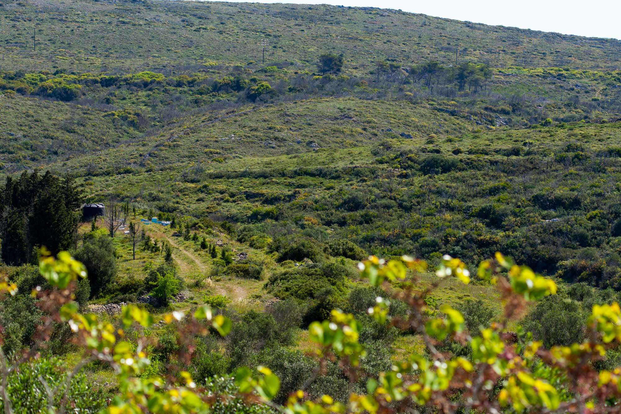 Kythera Scenery