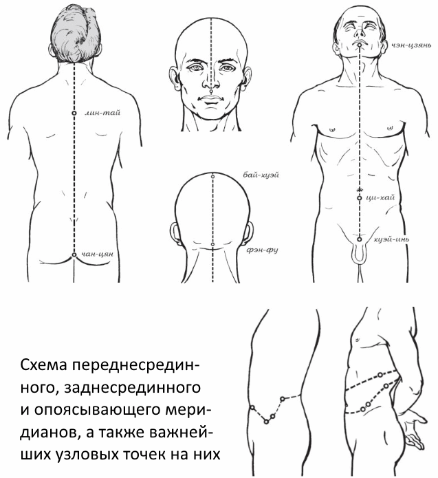 Схема переднесрединного, заднесрединного и опоясывающего меридианов, а также важнейших узловых точек на них