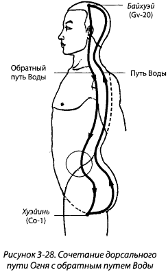 Сочетание дорсального пути Огня с обратным путем Воды