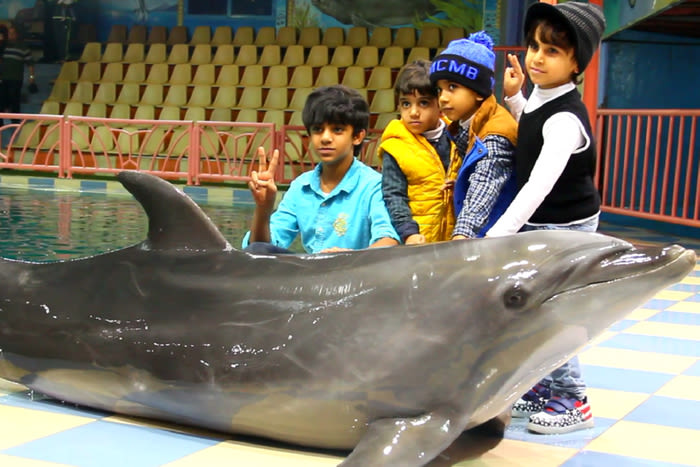 Dolphin Village Dammam: Popular Sea Lion & Dolphin Show