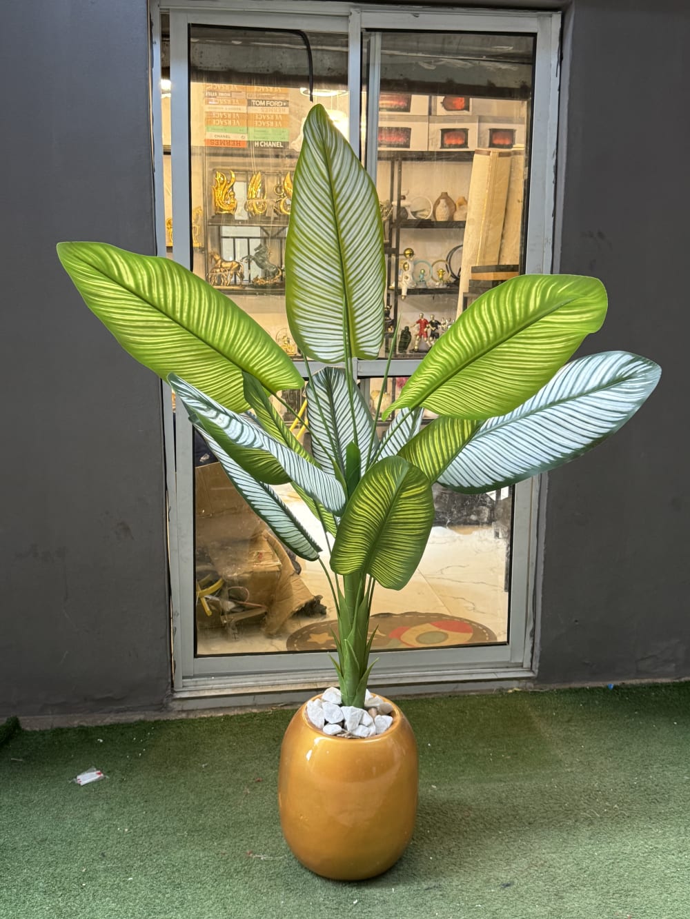 Gold fiber pot with luxury plant