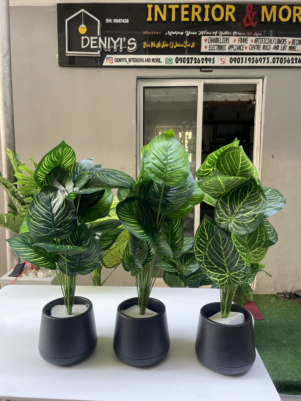 Corridor artificial plants 