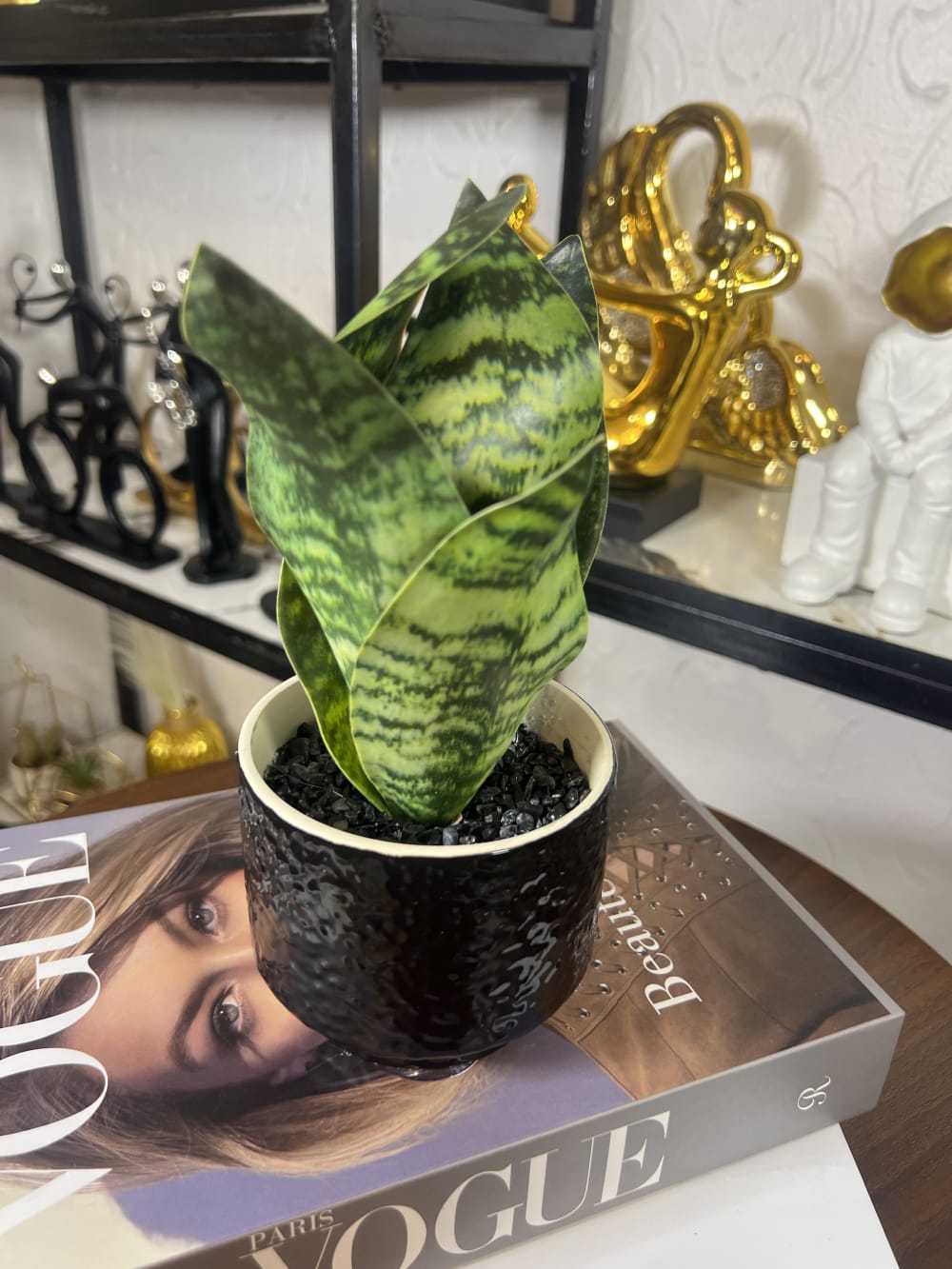 Black ceramic pot flower