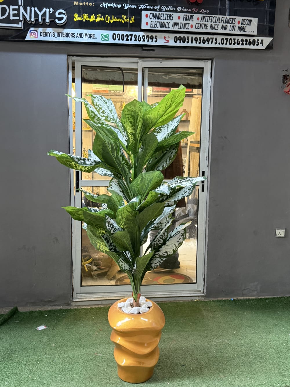 Gold wave pot with plant 