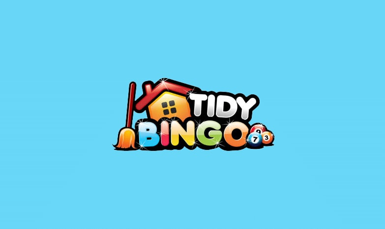 tidy bingo review