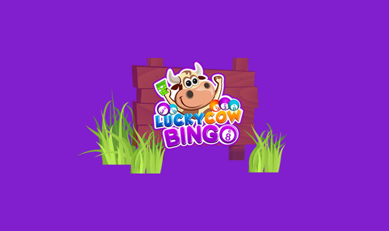 lucky cow bingo review