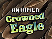 Untamed Crowned Eagle