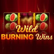 Wild Burning Wins: 5 Lines 