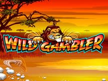 Wild Gambler