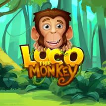 Loco the Monkey