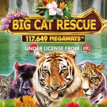 Big Cat Rescue Megaways