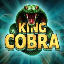 King Cobra