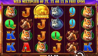 Buffalo King Slot Buffalo King Slot