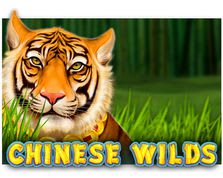 Chinese Wilds Slot Chinese Wilds Slot