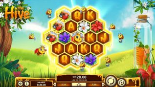 The Hive Slot The Hive Slot