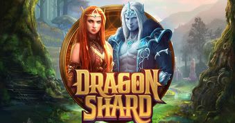 Dragon Shard Slot Dragon Shard Slot