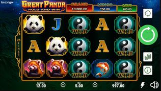 Great Panda Hold and Win Slot Great Panda Hold and Win Slot