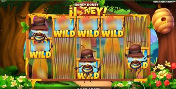 Honey Honey Honey Slot Honey Honey Honey Slot