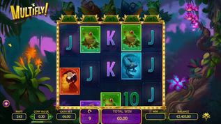 Multifly! Slot Multifly! Slot