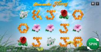 Show Me The Honey Slot Show Me The Honey Slot