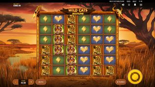 Wild Cats Multiline Slot Wild Cats Multiline Slot