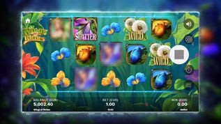 Wings of Riches Slot Wings of Riches Slot