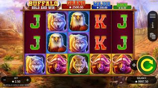 Buffalo: Hold and Win Slot Buffalo: Hold and Win Slot