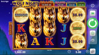 Wolf Night Hold and Win Slot Wolf Night Hold and Win Slot