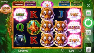Tiger Jungle Hold and Win Slot Tiger Jungle Hold and Win Slot