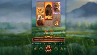 Buffalo Win Infinity Reels Slot Buffalo Win Infinity Reels Slot