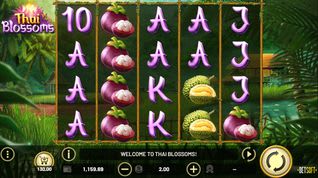 Thai Blossoms Slot Thai Blossoms Slot