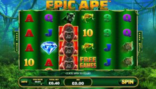 Epic Ape Slot Epic Ape Slot