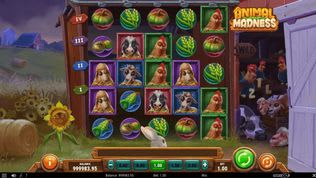 Animal Madness Slot Animal Madness Slot