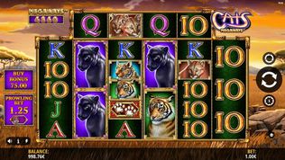Cats Megaways Slot Cats Megaways Slot