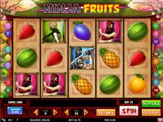 Ninja Fruits Slot Ninja Fruits Slot