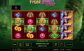 Tiger Spell Xtra Choice Slot Tiger Spell Xtra Choice Slot