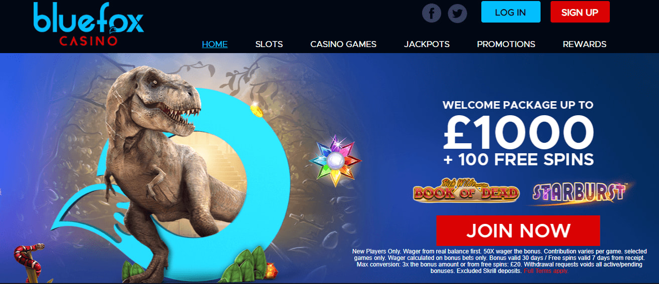 Bluefox Casino Cover