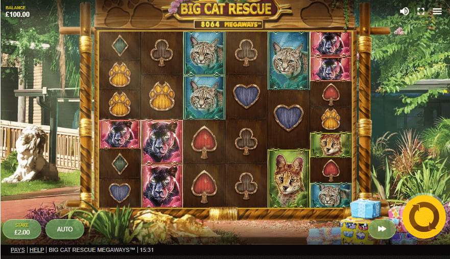 Big Cat Rescue Megaways Slot