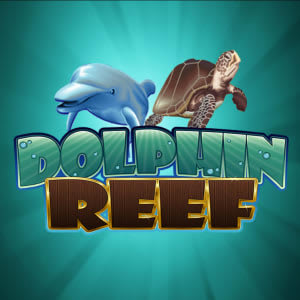 Dolphin Reef