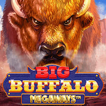 Big Buffalo Megaways