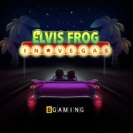 Elvis Frog In Vegas