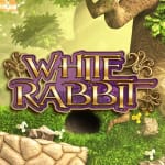 White Rabbit White Rabbit