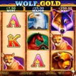 Wolf Gold