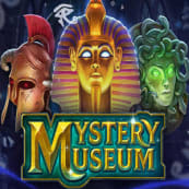 Mystery Museum