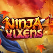 Ninja Vixens