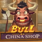 Bull in a China Shop