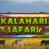 Kalahari Safari