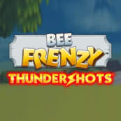 Bee Frenzy: Thundershots