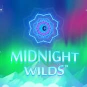 Midnight Wilds