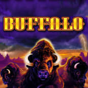 Buffalo